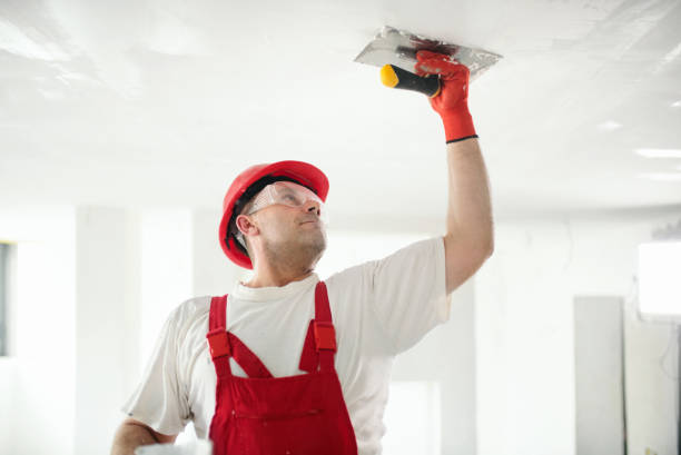 Professional Drywall and Painting Service in Largo, FL